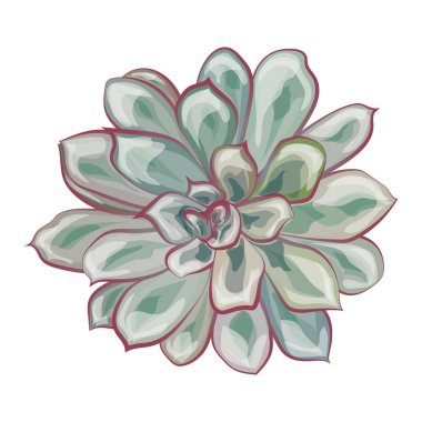 güzel çiçekler, çiçek deseni, vektör çizimi