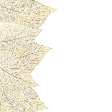 sonbahar yaprakları beyaz arkaplanda izole