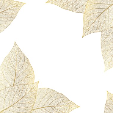 sonbahar yaprakları beyaz arkaplanda izole