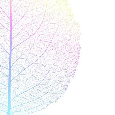 yaprakları ile arka plan. vektör çizim