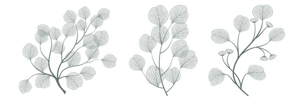 Illustration Vectorielle Plantes Florales Vertes Blanches Collection Plantes Fleurs — Image vectorielle
