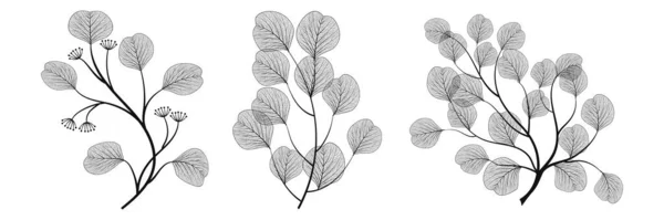 Set Vector Illustration Plants Isolated White Background — Image vectorielle
