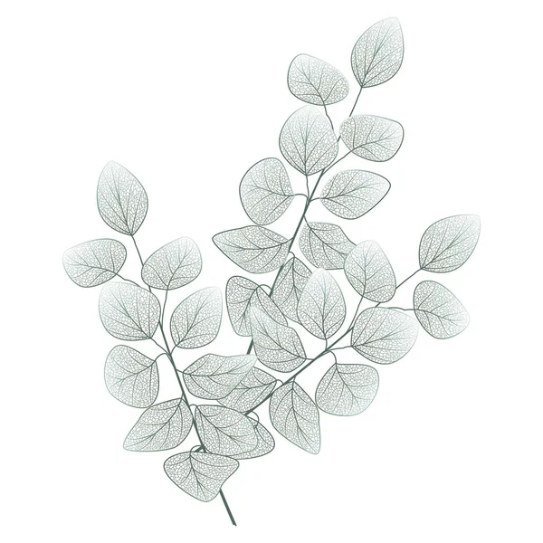Illustration Vectorielle Une Branche Une Plante — Image vectorielle