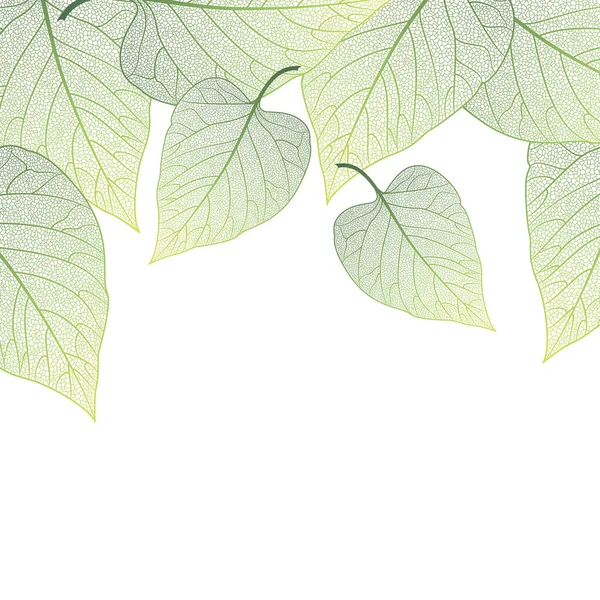 Green Leaves White Background — Stock Vector