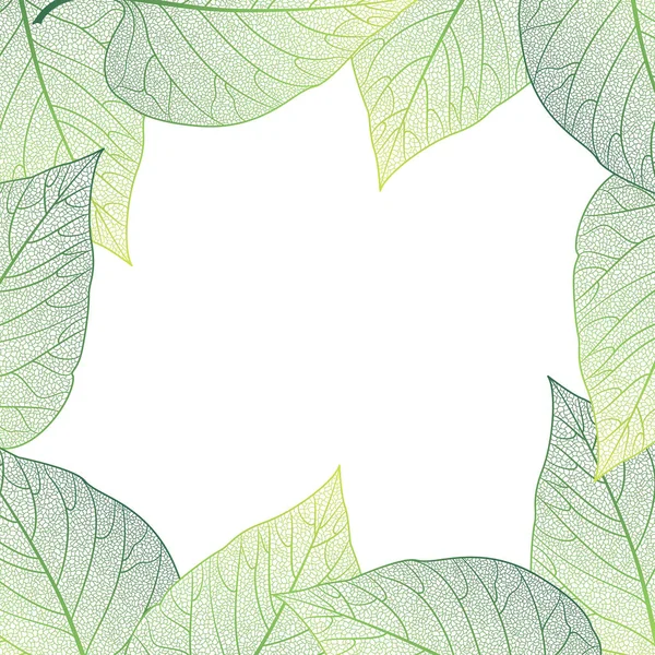 Feuilles Vertes Sur Fond Blanc — Image vectorielle