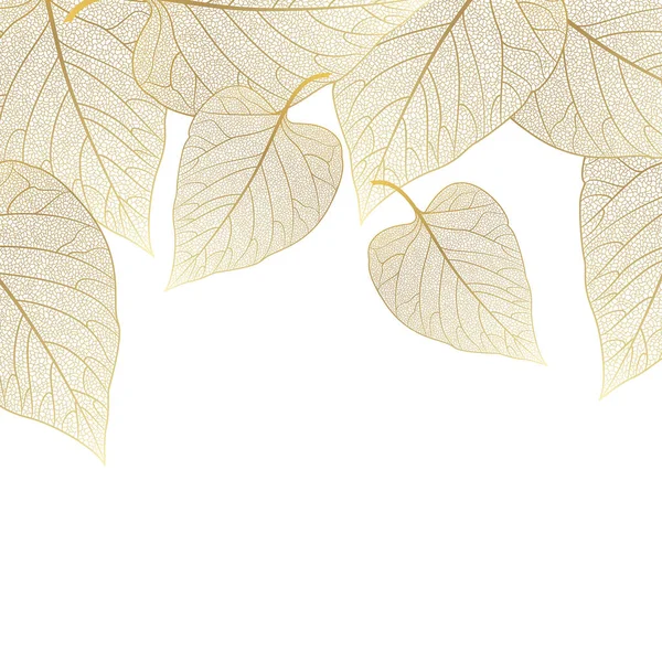 Φθινοπωρινά Φύλλα Λευκό Φόντο — Διανυσματικό Αρχείο