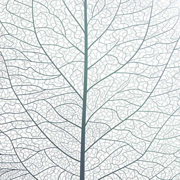 Vector Illustration Tree Pattern — Image vectorielle