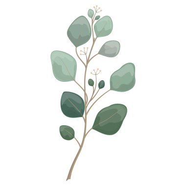Yaprak ikonu vektör illüstrasyon tasarımlı güzel botanik bitkisi