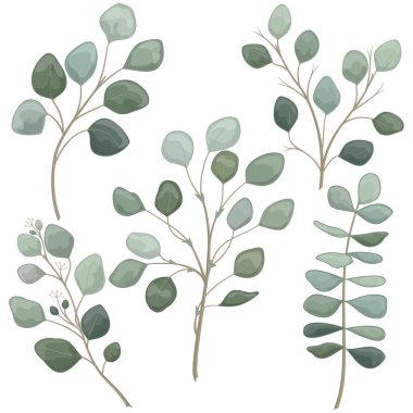 Bir dizi yeşil yaprağın suluboya çizimi.
