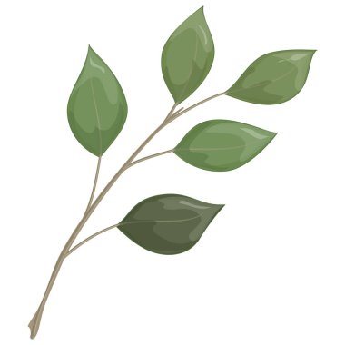 Arkaplanda yeşil ve beyaz yaprak simgesi