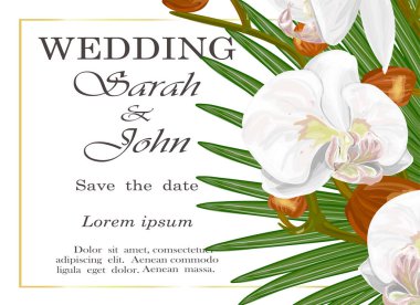 Güzel tasarım için bir arkaplanın vektör illüstrasyonu