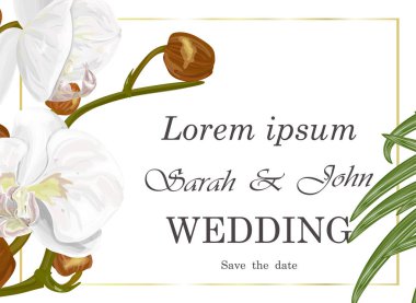 İlkbahar için bir arkaplan vektör illüstrasyonu