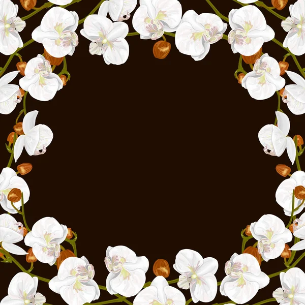 White Flowers Apple Blossom Black Background — Archivo Imágenes Vectoriales