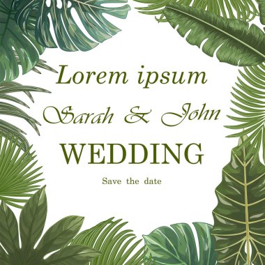 Tropik yapraklar ve palmiye yaprağı. vektör illüstrasyonu