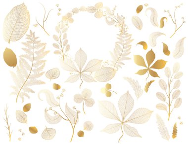 Sonbahar yapraklarının vektör illüstrasyonu