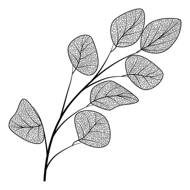 Bir ağacın dalının vektör illüstrasyonu