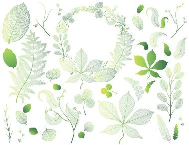 Yeşil yaprakların vektör illüstrasyonu
