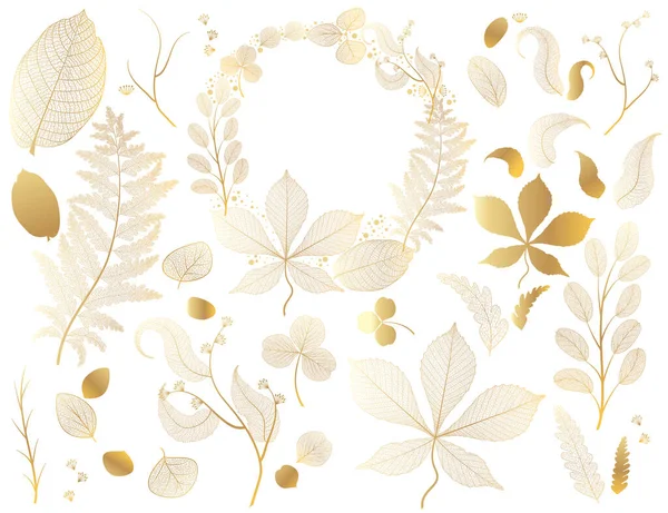 Sonbahar yapraklarının vektör illüstrasyonu