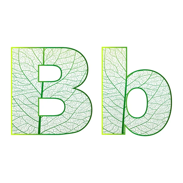 harf alfabesi, harfler, sayılar ve diğer elementler. vektör illüstrasyonu