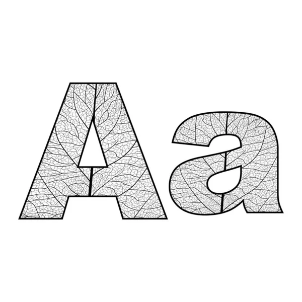 Letter Alphabet Letters Numbers Other Elements Vector Illustration — Image vectorielle