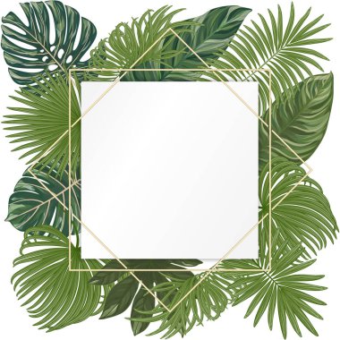 Tropik yapraklar ve palmiye yaprağı. vektör illüstrasyonu