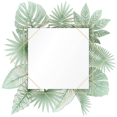 Tropik yapraklar ve palmiye yaprağı. vektör illüstrasyonu