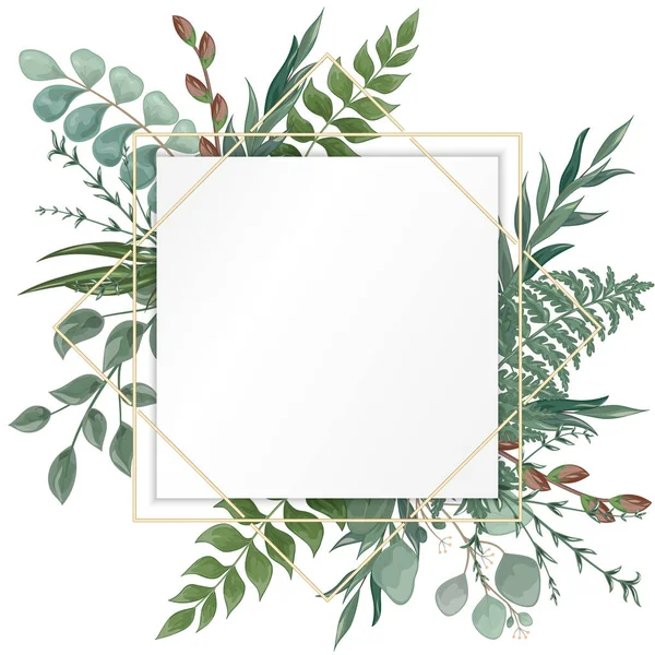 Frame Green Leaves Eucalyptus Branches White Background — Archivo Imágenes Vectoriales