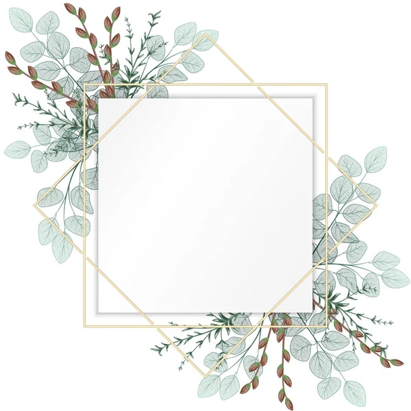 Frame Green Leaves Branches Eucalyptus Vector Illustration — 스톡 벡터