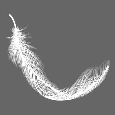Tüy ikonu. vektör illüstrasyonu