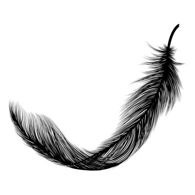 Beyaz arkaplanda siyah renkli tüy simgesi var. kuş sembolü çizimi.