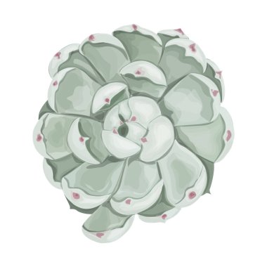 Beyaz bir çiçeğin 3D görüntüsü