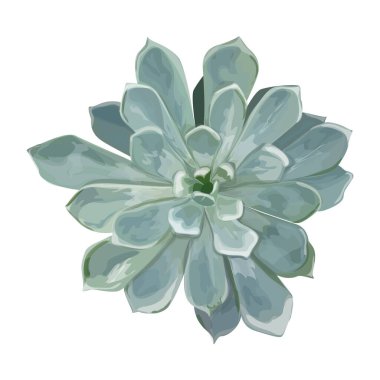 suluboya çiçekli güzel botanik desen