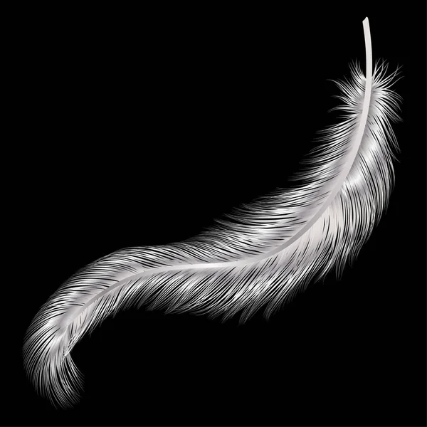 Plume Isolée Sur Fond Noir — Image vectorielle