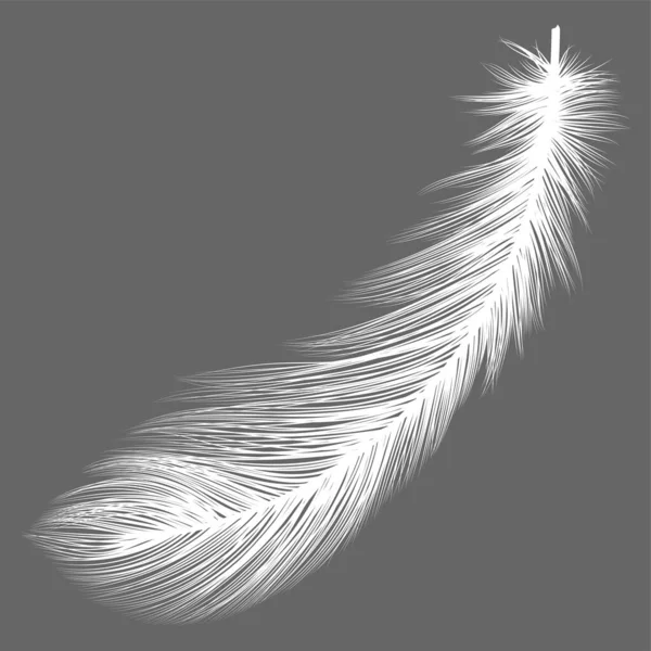 Feather Icon Black White Illustration — 스톡 벡터