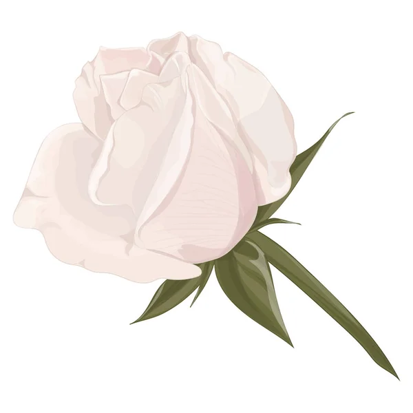 Illustration Vectorielle Une Belle Fleur Rose — Image vectorielle