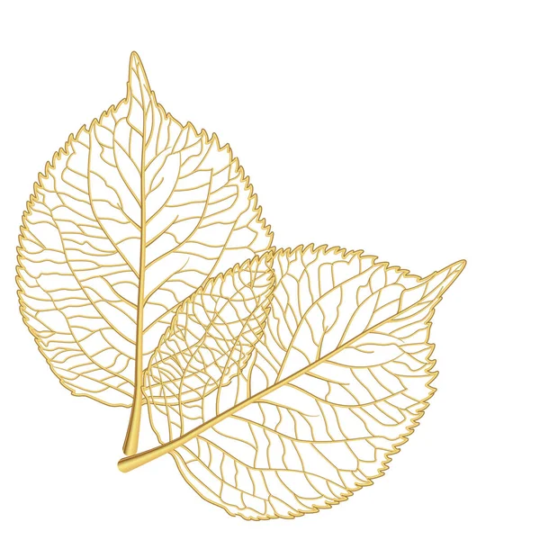 Vector Illustration Leaf Tree — Stock vektor