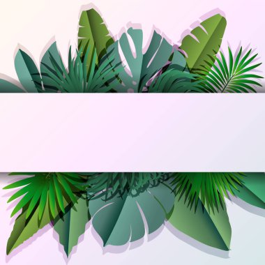 tropical leaves and flowers vector illustration graphic design
