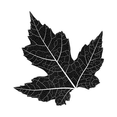 Bir ağacın dalının vektör illüstrasyonu