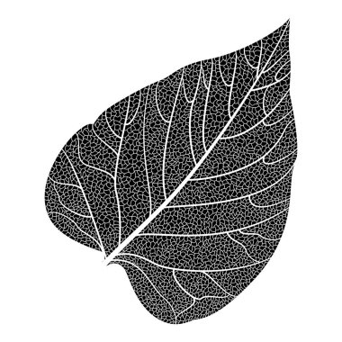 Yaprak deseninin vektör illüstrasyonu