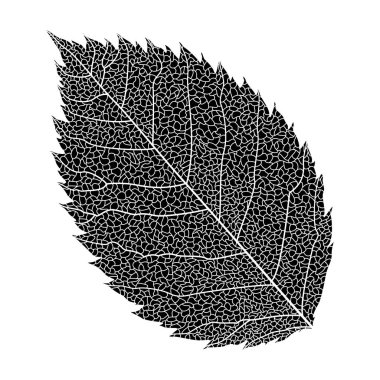 Tasarım için bir arkaplanın vektör illüstrasyonu