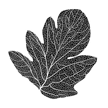 Siyah beyaz bir yaprak karalamalarının vektör çizimi