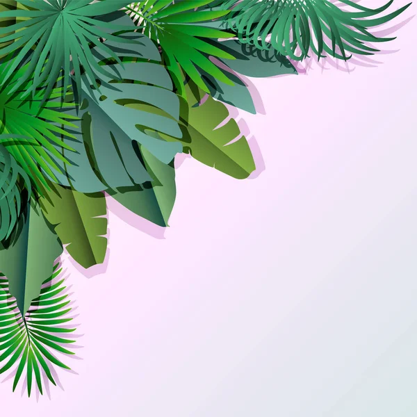 Tropical Leaves Monstera Leaf White Background Vector Illustration — Stok Vektör