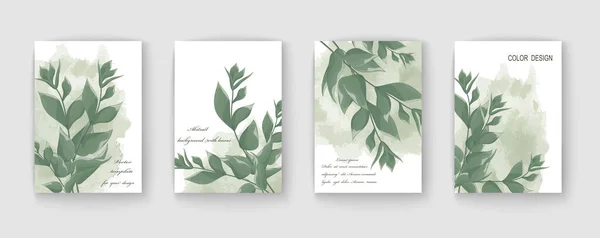 Set Tropical Leaves Monstera Leaf Modern Botanical Design Vector Illustration — стоковый вектор