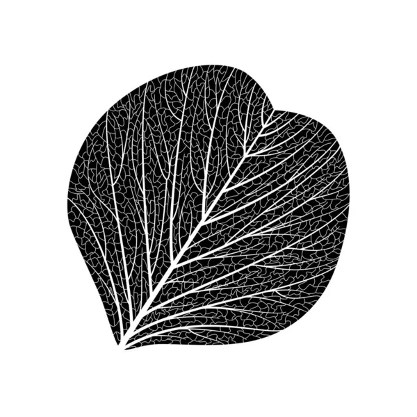 Векторная Иллюстрация Листа Дерева — стоковый вектор