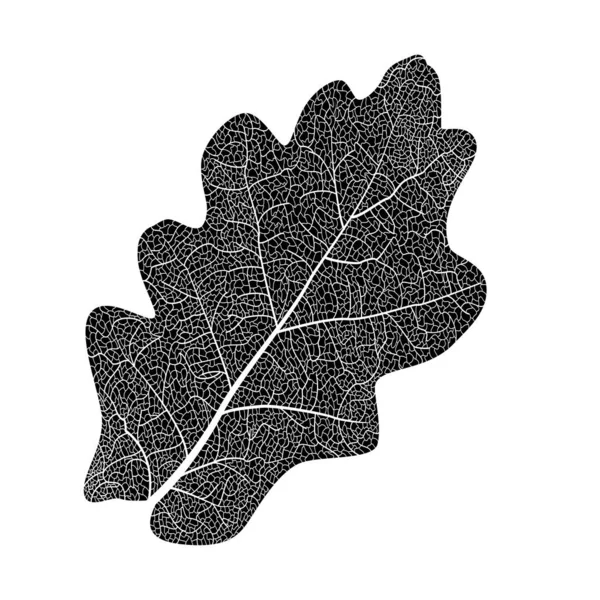 Vectorillustratie Van Herfstbladeren — Stockvector