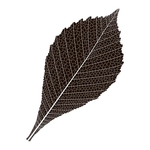 Leaf Pattern Vector Illustration — Archivo Imágenes Vectoriales