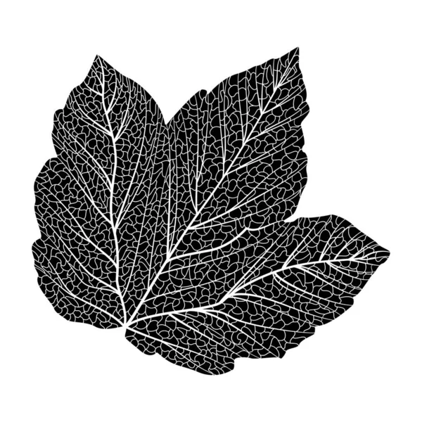 Vector Illustration Leaf Tree — 스톡 벡터