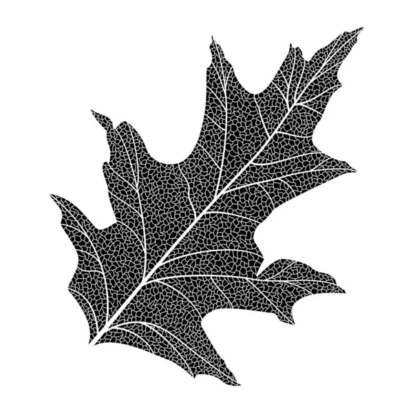 Black White Vector Illustration Tree Leaf — Διανυσματικό Αρχείο