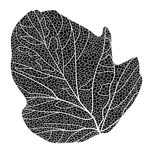 Illustration Vectorielle Une Plante — Image vectorielle