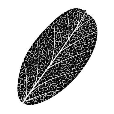 Yaprak deseninin vektör illüstrasyonu
